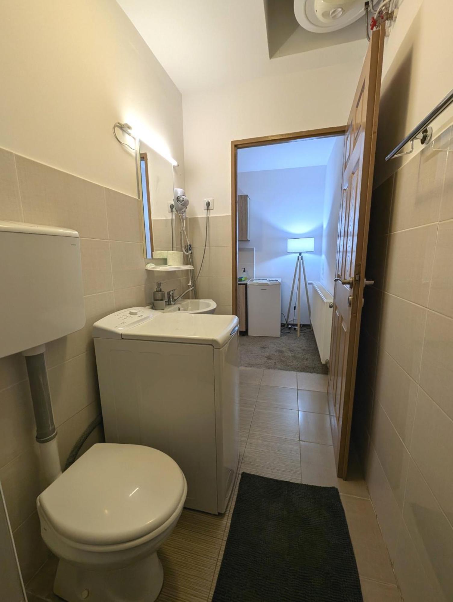 Sandor Central Studio Apartment Тиргу-Муреш Екстер'єр фото