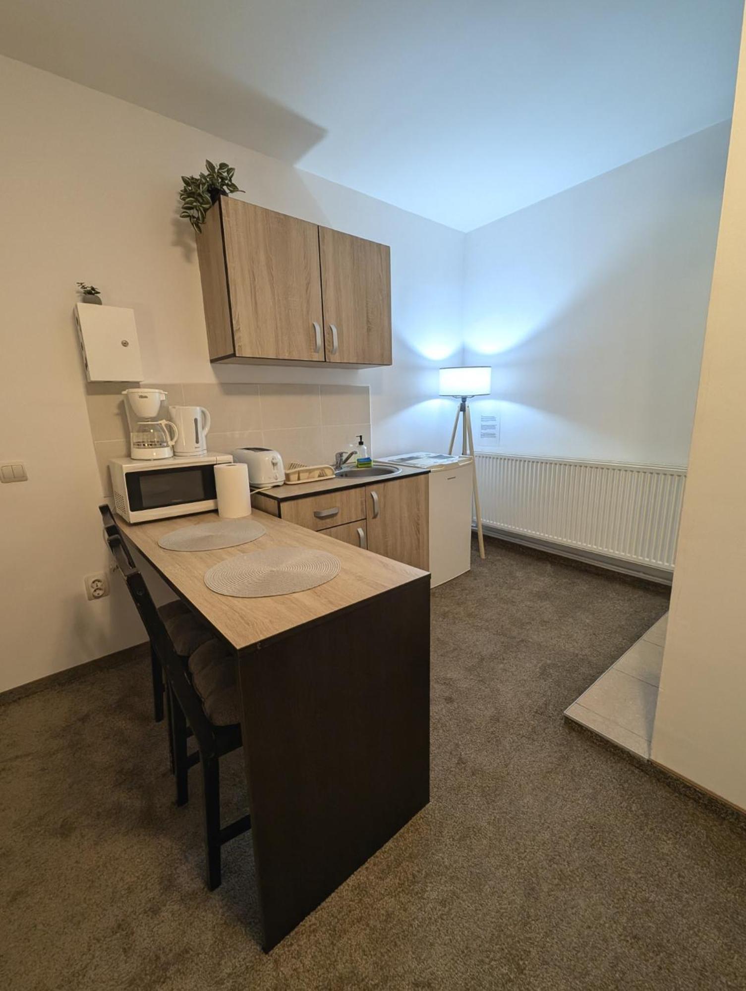 Sandor Central Studio Apartment Тиргу-Муреш Екстер'єр фото
